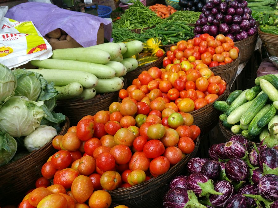 Baskets of tomatoes, cucumbers, brinjal and greens ready to go